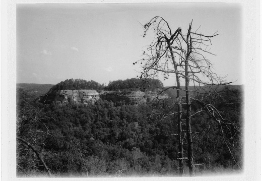 Pinch Em Tight Gap, Red River Gorge